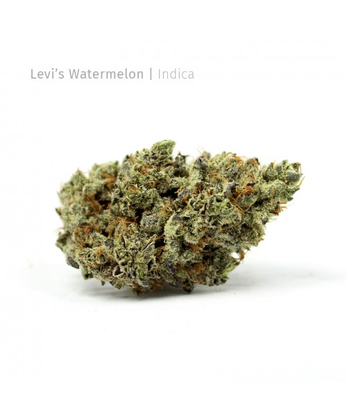 Levi's Watermelon | Indica